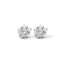 925 Silver Lucilla Stud Earrings