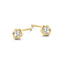 925 Silver Donatella Stud Earrings