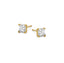 925 Silver Chavelli Stud Earrings