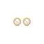 14K Gold Vanda Stud Earrings