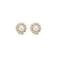 14K Gold Fabiana Stud Earrings