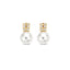 14K Gold Sebastiana Stud Earrings