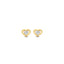 14K Gold Giacinta Stud Earrings