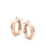 14K Gold Acadia Hoop Earrings