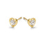 14K Gold Giorgina Stud Earrings