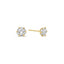 14K Gold Alexandra Stud Earrings