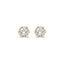 14K Gold Alexandra Stud Earrings