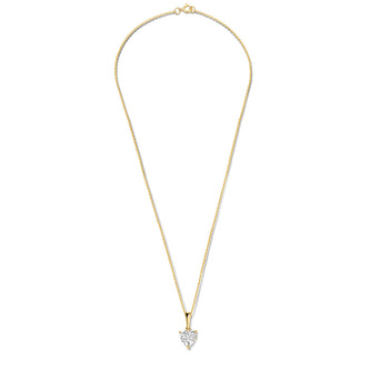 14K Gold Durante Necklace