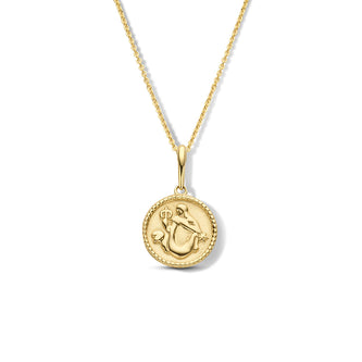 14K Gold Mariella Necklace