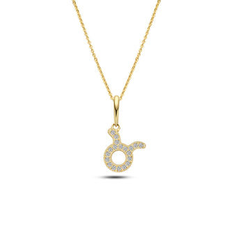 14K gouden Isidora-ketting