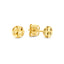 14K Gold Luciana Stud Earrings