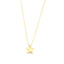 14K Gold Silvana Necklace