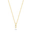 14K Gold Teresa Necklace