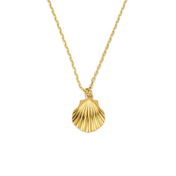 14K Gouden Schelpketting