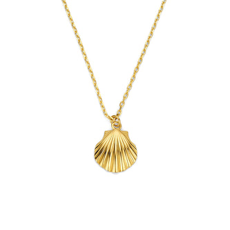 14K Gold Shell necklace